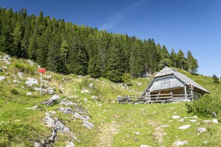 Planina Arta (Foto: MIT, Ivan Majc)